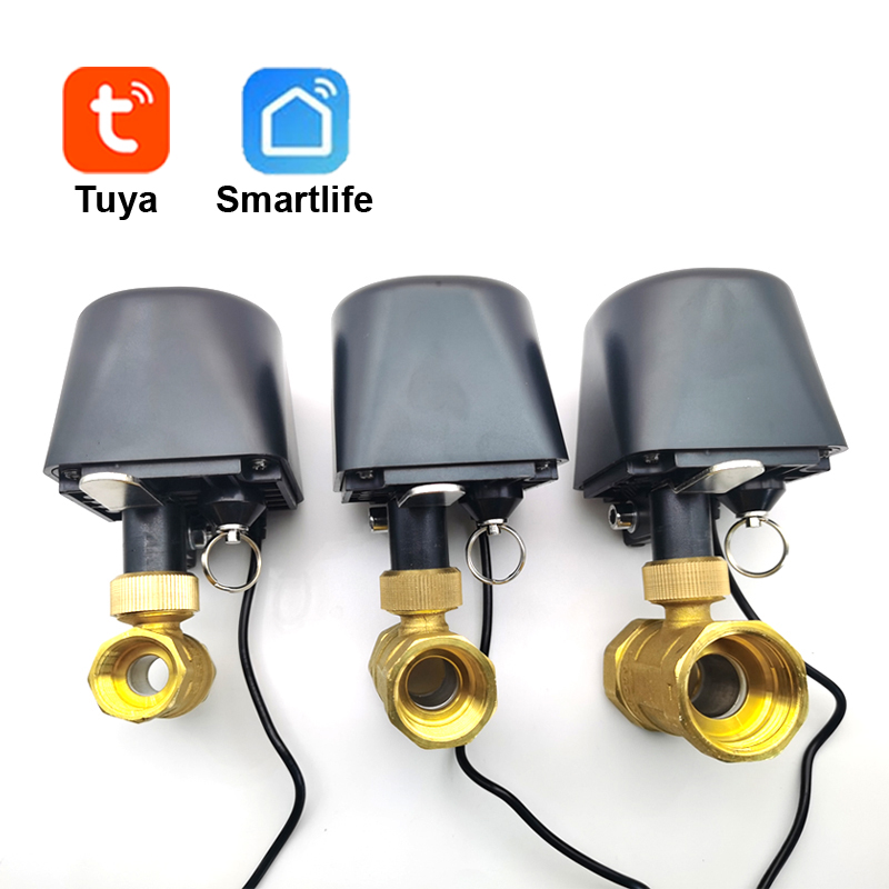 Tuya WiFi or Zigbee Water Valv - Smart Garden Tap 评论和价格